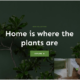 Floreo Theme